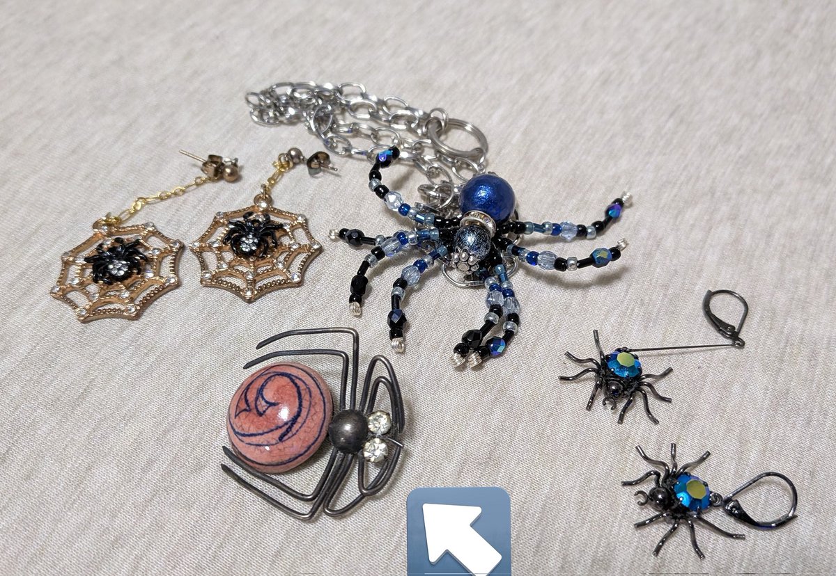 兄やんのママから蜘蛛のブローチをもらったのでコレクションが増えたよ