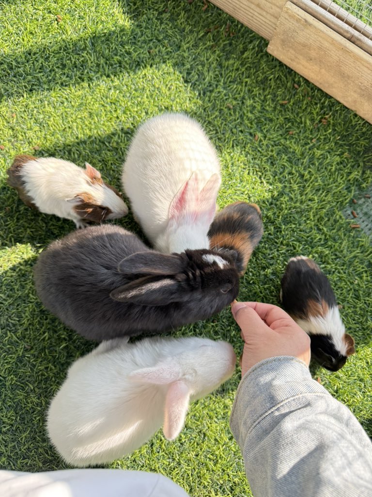 Amy2024717's tweet photo. 审萌积累 https://t.co/ZvVX7SZSEy