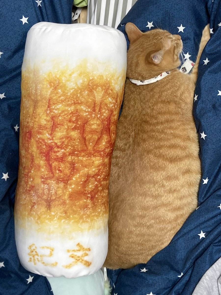 ねこじるしちくわ ねこじるしちくわ 🐹🐻 私のかわいいかわいい赤ちゃんです🥰 🐻ちくわ