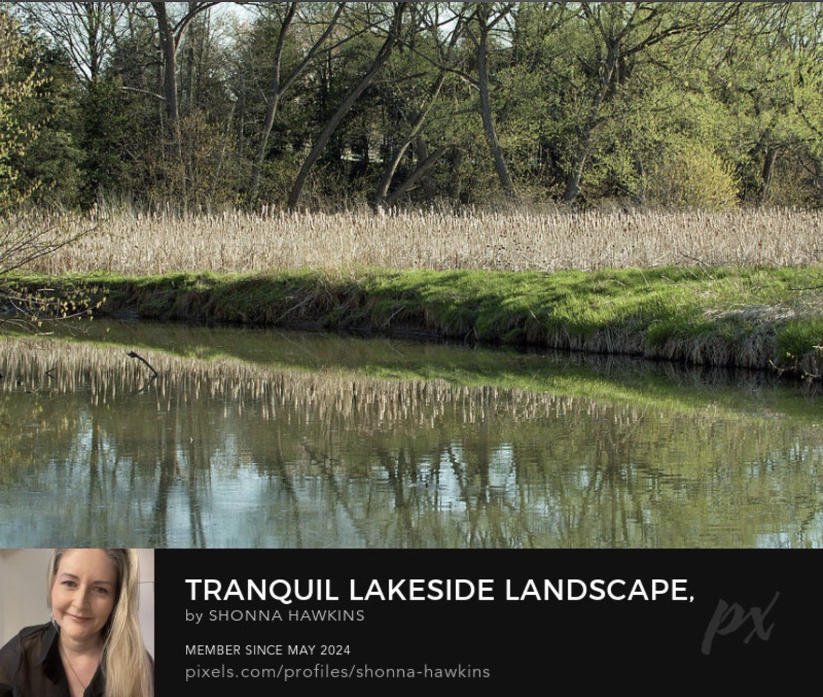 shonna99784's tweet image. Tranquil Lakeside Landscape Newmarket, Ontario, Canada shonna-hawkins.pixels.com/featured/tranq…

#Tranquil #Lakeside #Landscape #Newmarket #Ontario #Canada #ShonnaHawkinsPhotography
