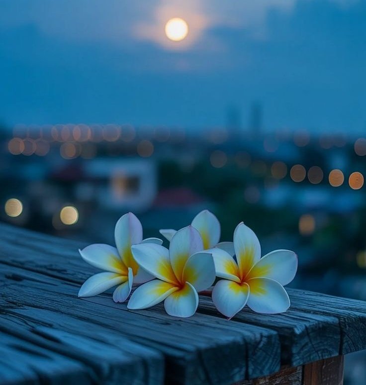 Close the window that hurts you
No matter how beautiful the view is .. ☆

Good Evening