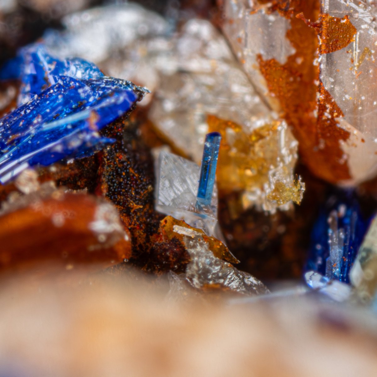 ScoLiro_Vesze's tweet image. 白鉛鉱からにゅっと生える青鉛鉱