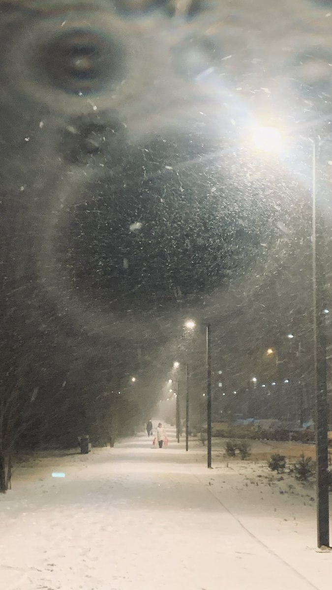 Seeart88's tweet photo. Winter https://t.co/qSkg46Kxz8