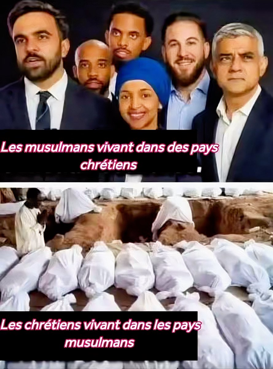Vivi-Apostat tweet media