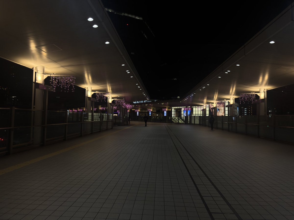 sensitivetooth's tweet image. first day of employment in tokyo i’m sad but sushi after with friends gave me hope #hopecore