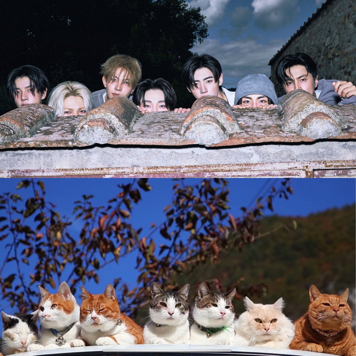 noey_nimm's tweet image. 야옹 ~ (ˆ ̳◝ ·̫ ◜ ̳ˆ)