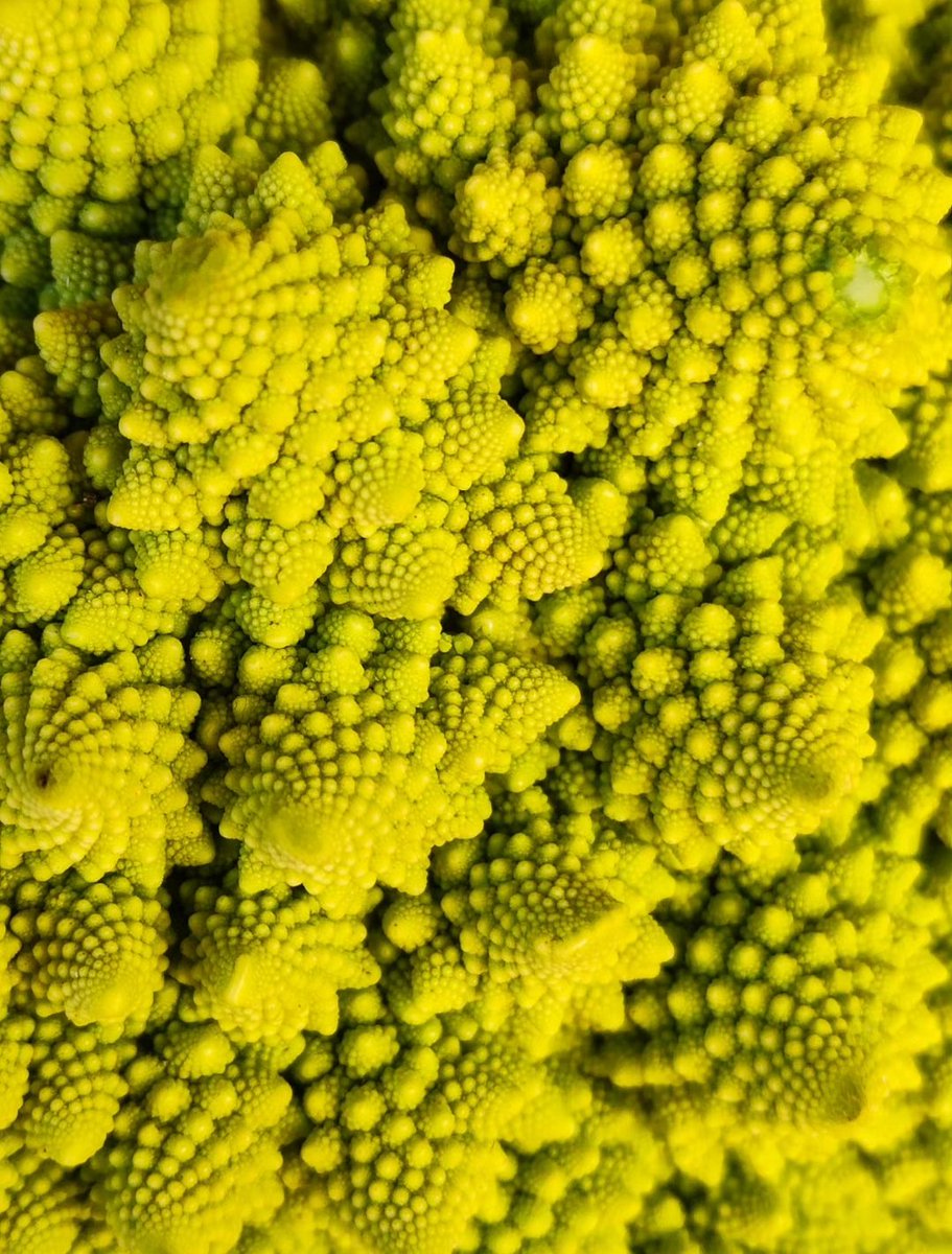 EtwTerp's tweet photo. Rencontre avec une fractale...
Chou de Romanesco,
Marché de Draguignan, Var
3 janvier 2026
#mathsartist #mathpics #maths #geometrie #geometry #fractale #nature #mathsetnature
🔶 RV sur Instagram:
📸🖍️MATHS_ARTIST✏️🎨https://t.co/huEfGDmtXA… https://t.co/gnKWpn77q7
