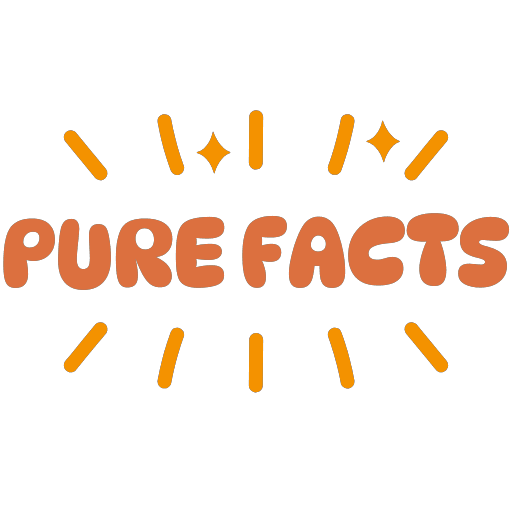 Spraditech Digital Solutions tweet media