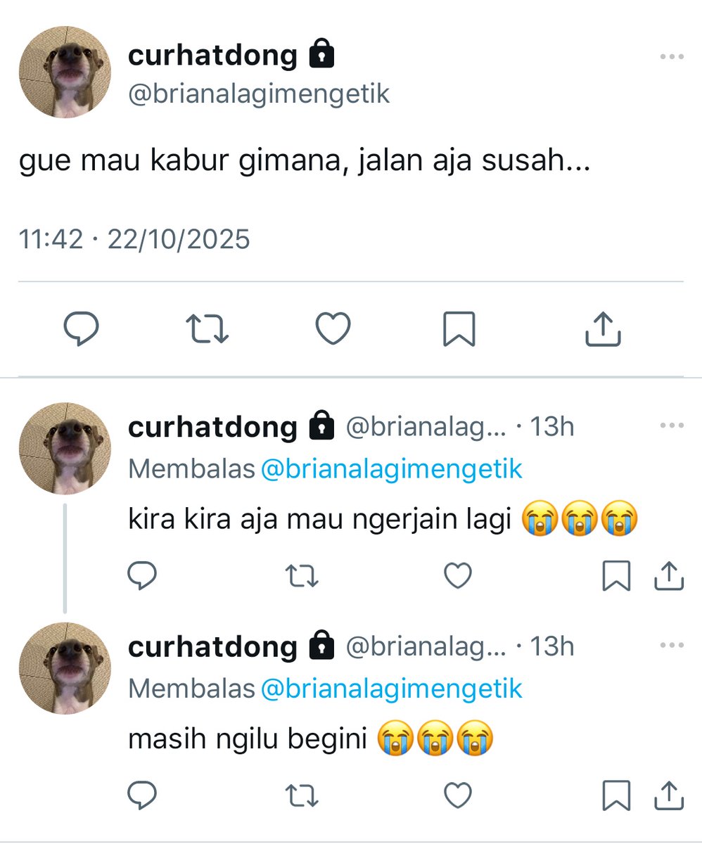 𝘁 𝗶 𝘁 𝗶 . tweet media