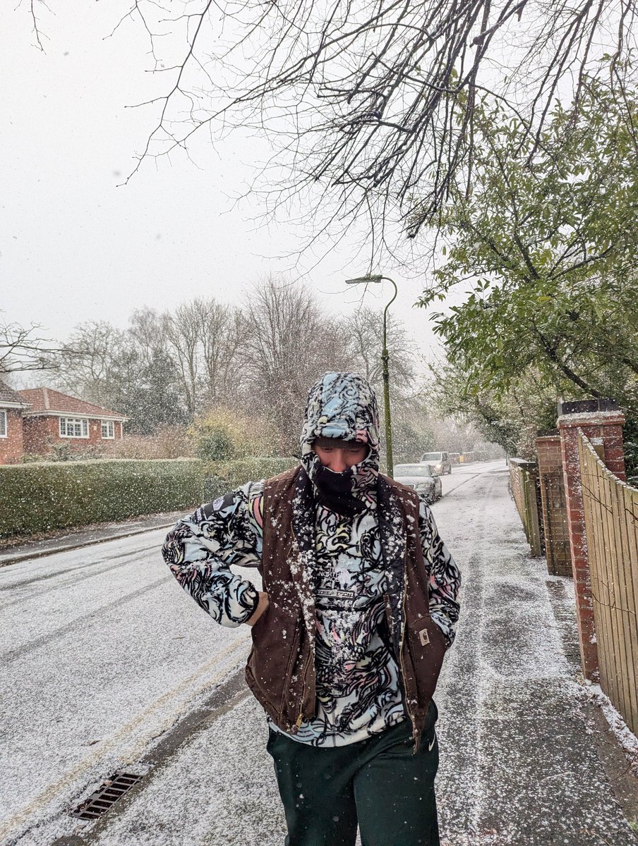 jazz harbord ✨ tweet media