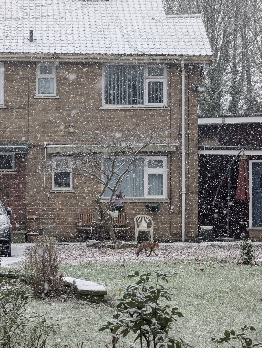 jazz harbord ✨ tweet media