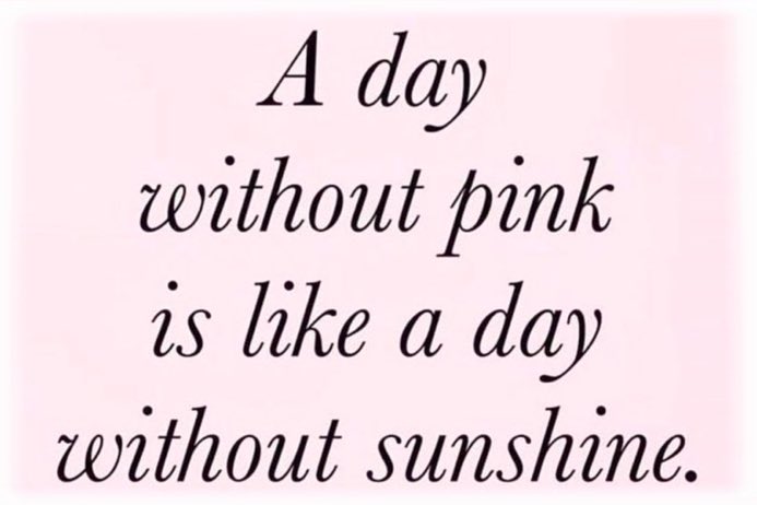 aria ♡ tweet media