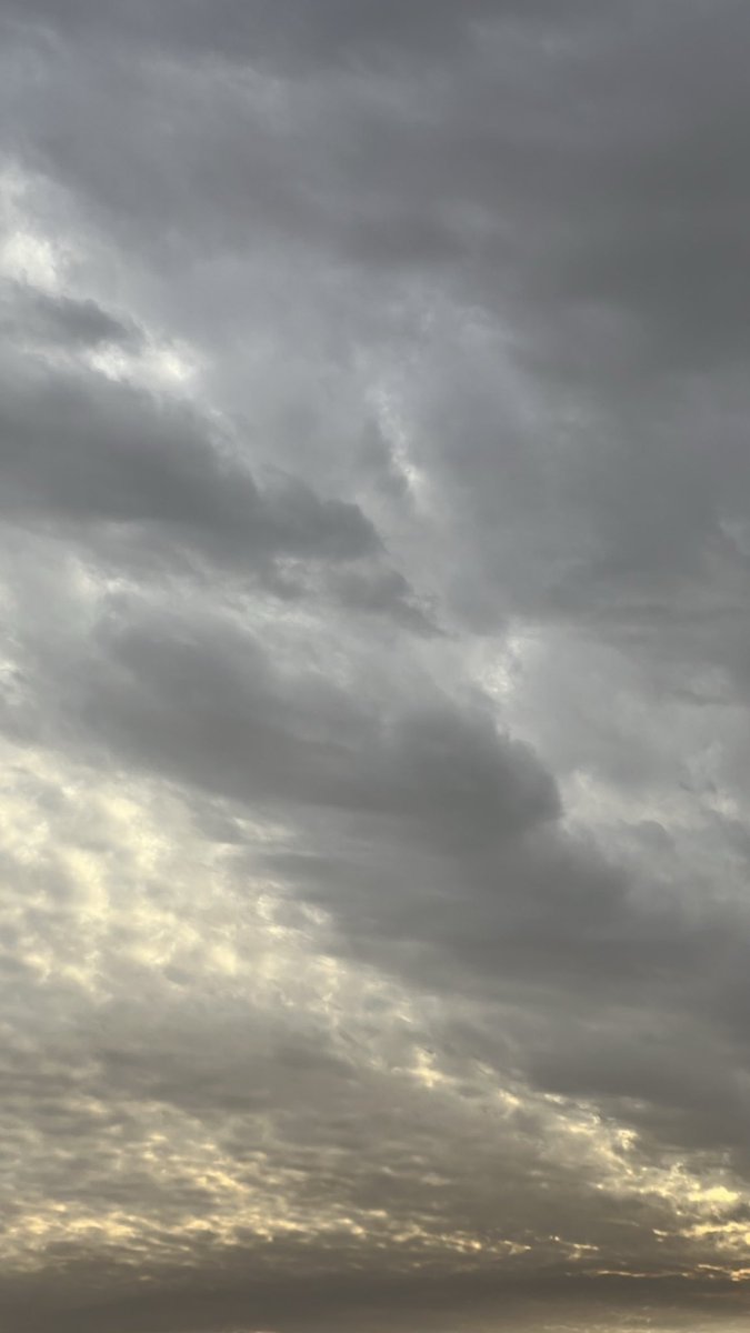شنبولي حبيب الشعب 🇰🇼 tweet media