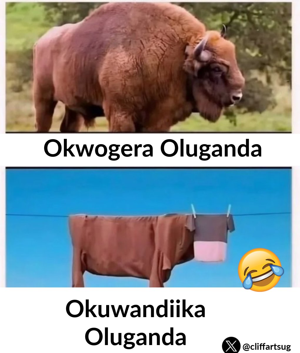 CliffArtsUg's tweet image. I'm not offending you guys😅
