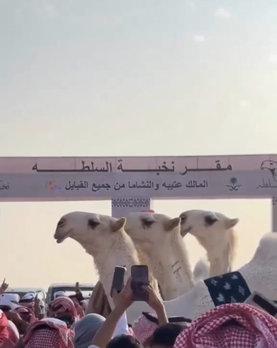 _23f's tweet image. روقت ياروق يوم الدم فاجر 
والفناجيل إن شربناها وفينا

إنشدوا شبه الجزيره فالمجازر
عن مخضبة الهنادي لا أعتزينا

"ماعلى برقا وروق يكون قادر
وحده اللهم غيره ماخشينا" 
#السلطة 
#شلفا_ولي_العهد_وضح