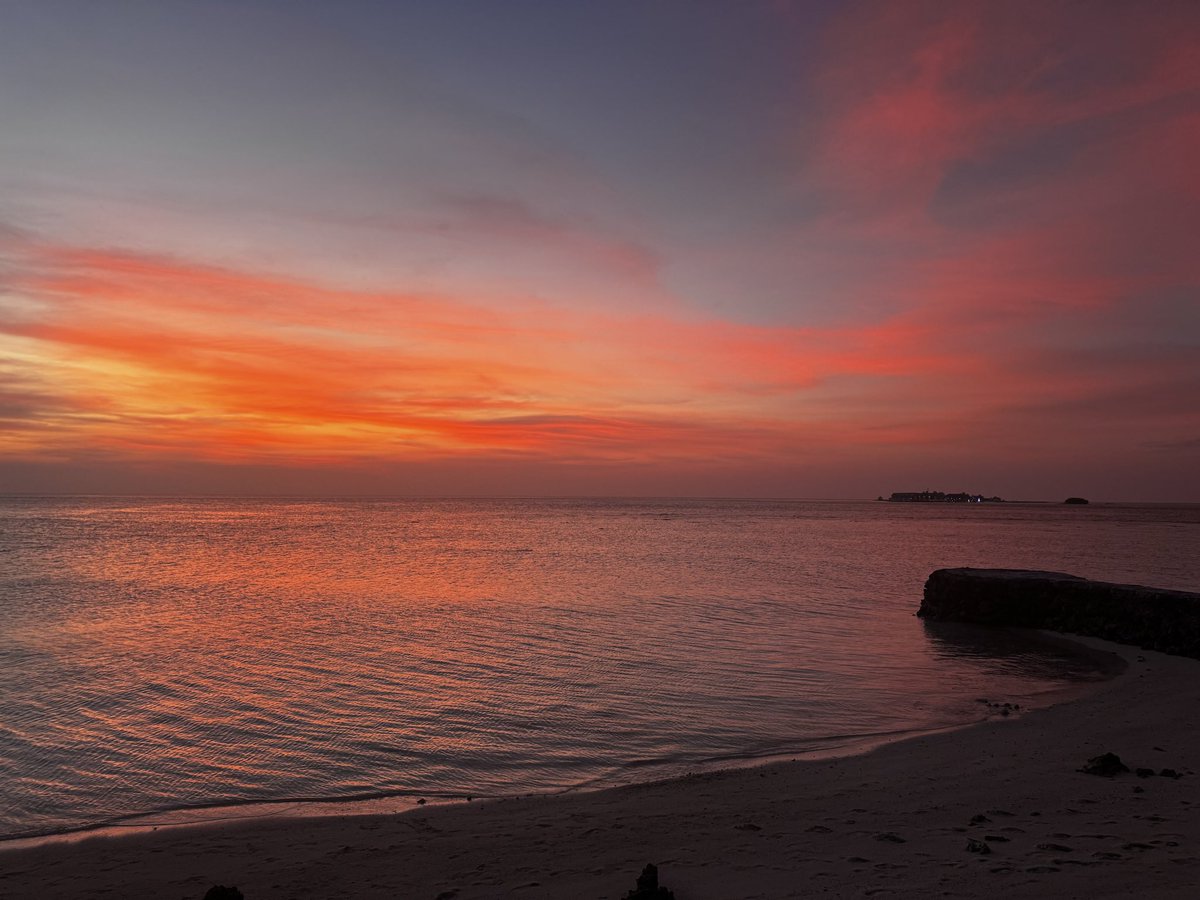 stemcc23's tweet image. No words