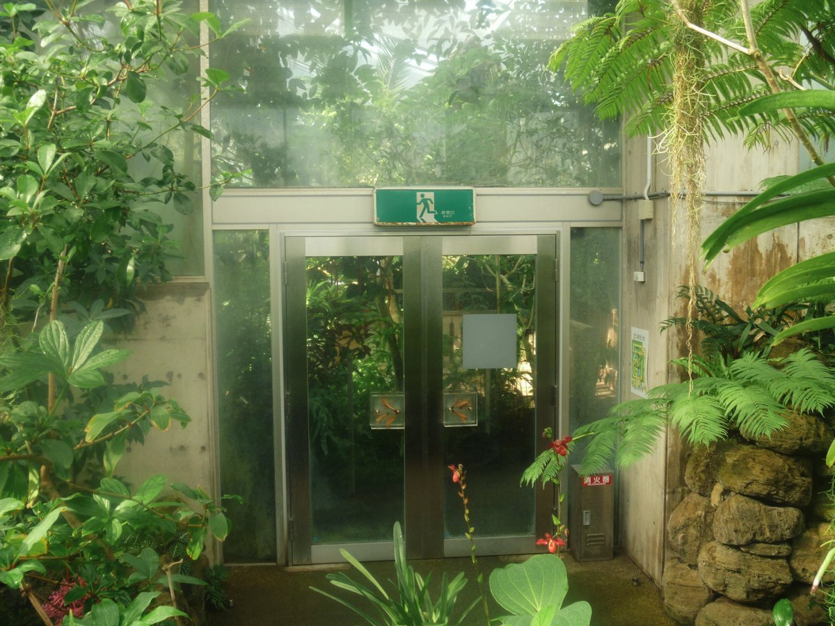 _narwhal____'s tweet image. 