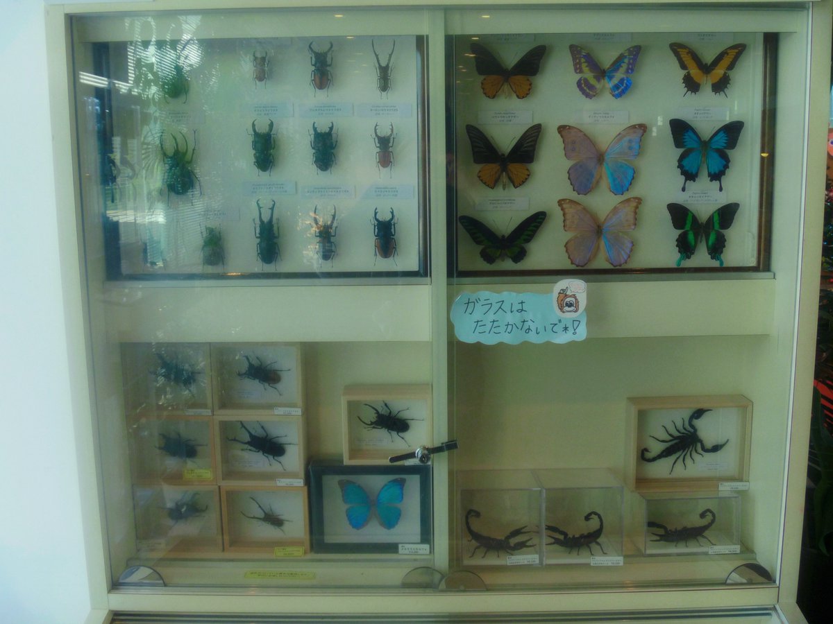 _narwhal____'s tweet image. 