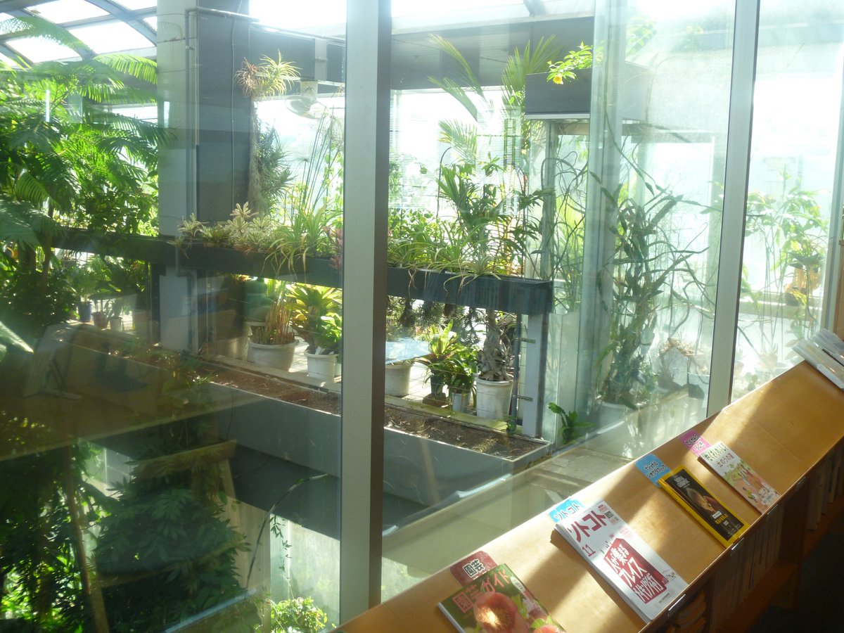 _narwhal____'s tweet image. 