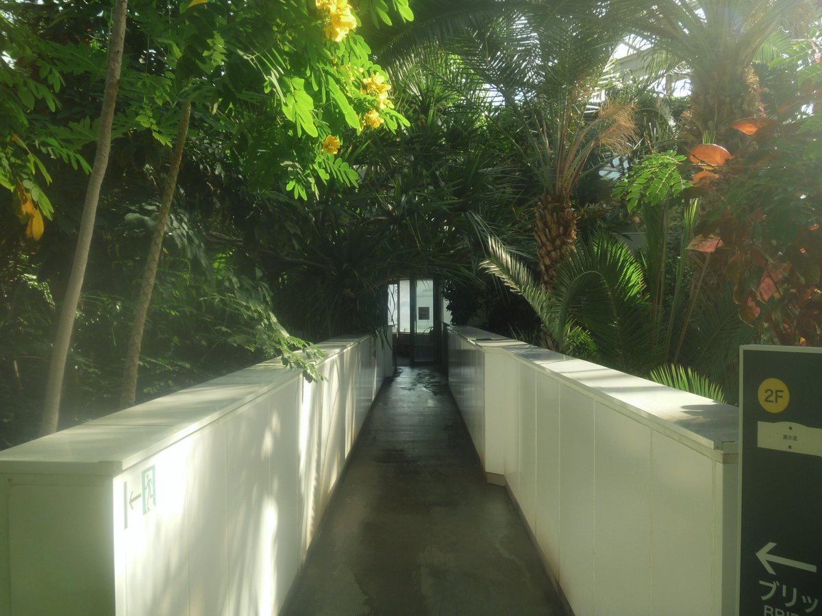 _narwhal____'s tweet image. 