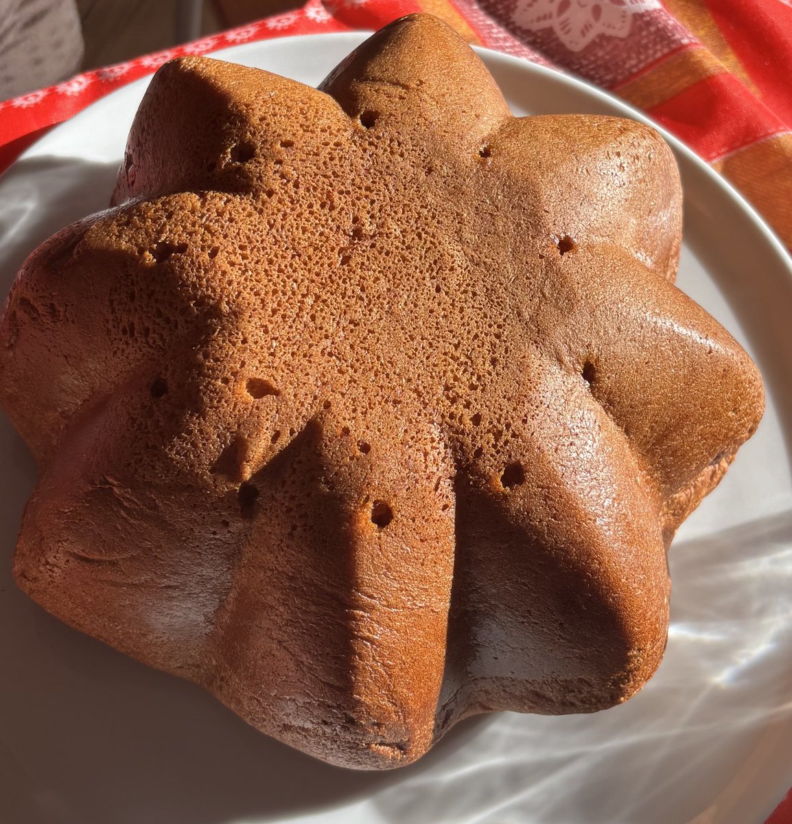 w0ngayvee's tweet image. can't speak rn im eating neona