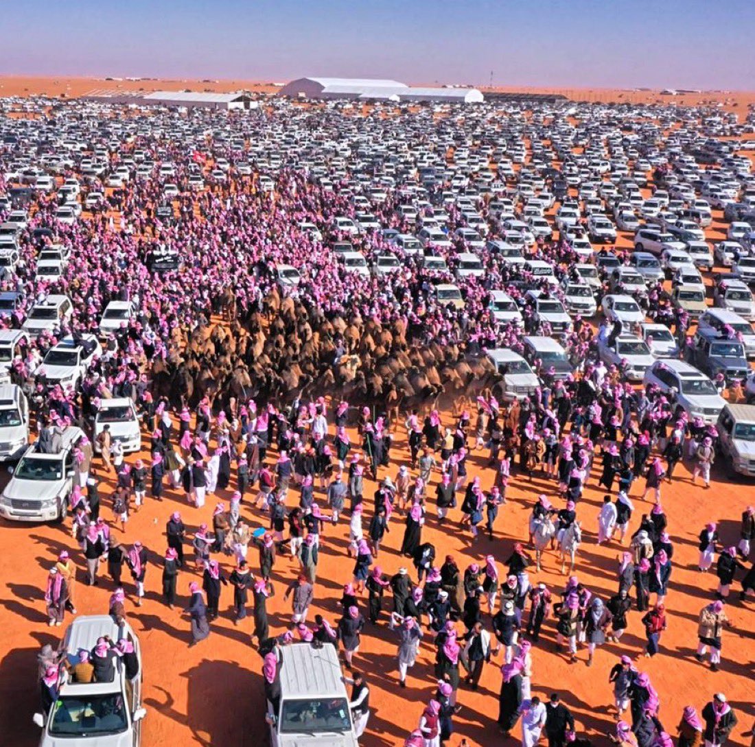 _23f's tweet image. كل ماغاب نجم طلع نجم جديد ..
قبيلةٍ ما تنتهي فرسانها 🇸🇦

الاول دونه عتيبة ☝🏻
#السلطة
#شلفا_ولي_العهد_الوضح