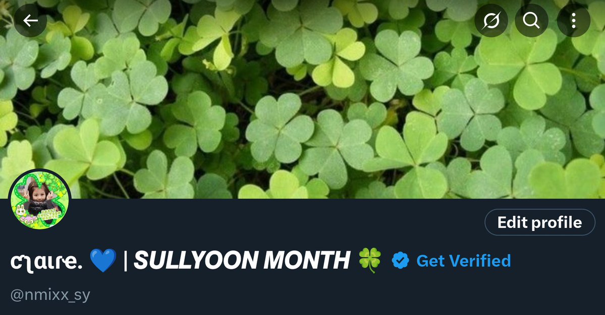 nmixx_sy's tweet image. Loving my layout. 🙂‍↔️💚
#LuckyGirlSullyoon 🍀