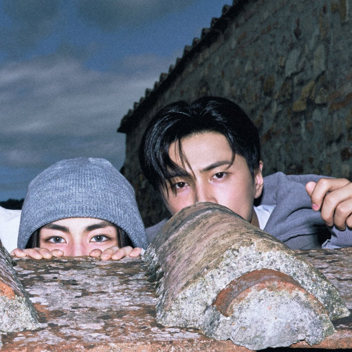 kitcatuz's tweet image. the cats are on my roof