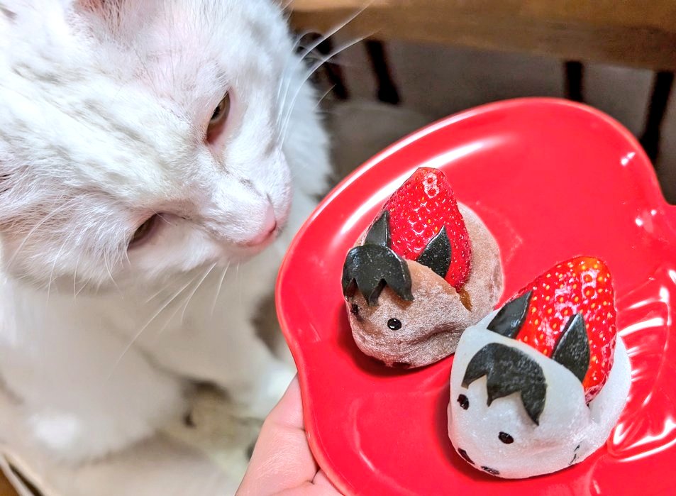 ねぇ、めちゃかわいくないですか(*^^*)♡ 馬さんのいちご大福🍓 #今日