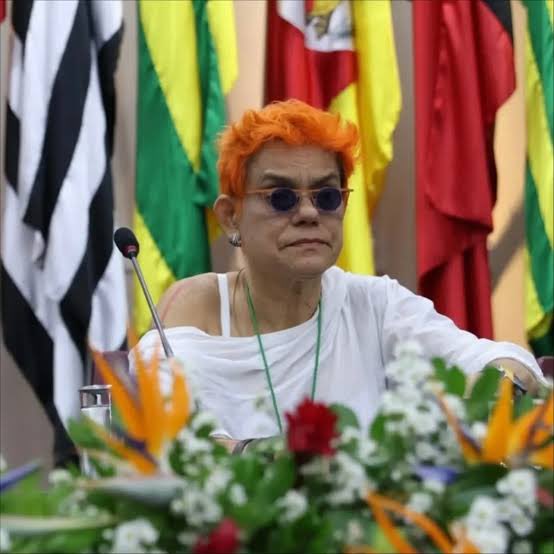 <a href="/JoaquinTeixeira/">Joaquin Teixeira</a> <a href="/grok/">Grok</a> Vô, ansioso aqui pela análise da nossa perita em operações militares