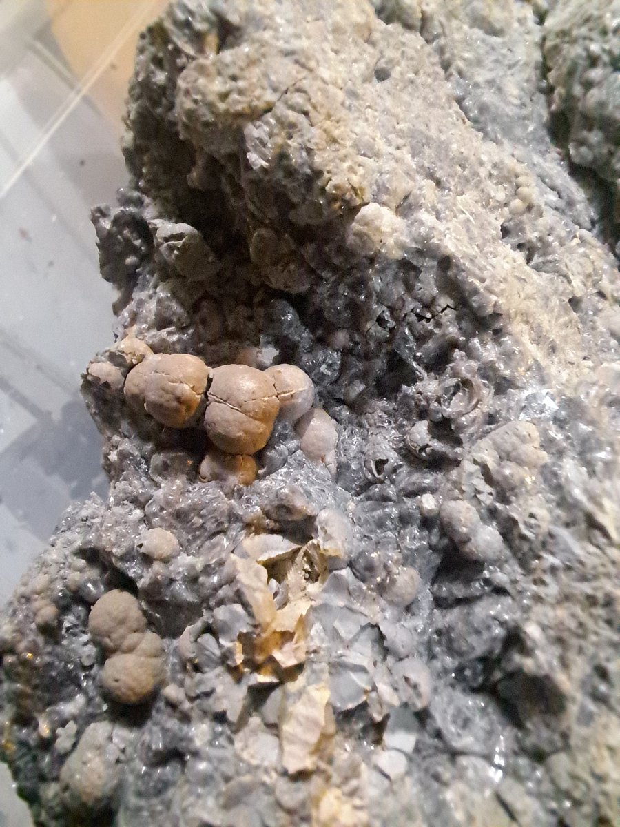 拾った謎の石 火星で謎の「しま模様の岩石」が発見される - GIGAZINE