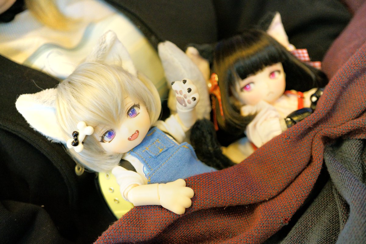 さきえる:江戸川コナンを召喚 (@Edogawa_80cm) / Posts and Replies / X