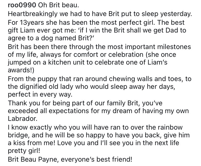 1D_Updates_BR's tweet photo. Ruth, irmã do Liam, via Instagram. 🥺🤍

“I know exactly who you will have ran to over the rainbow bridge, and he will be so happy to have you back, give him a kiss from me!” 😭😭

Brit agora vai reencontrar o seu melhor amigo 🤍🪽 https://t.co/yvDiQ6RZlF