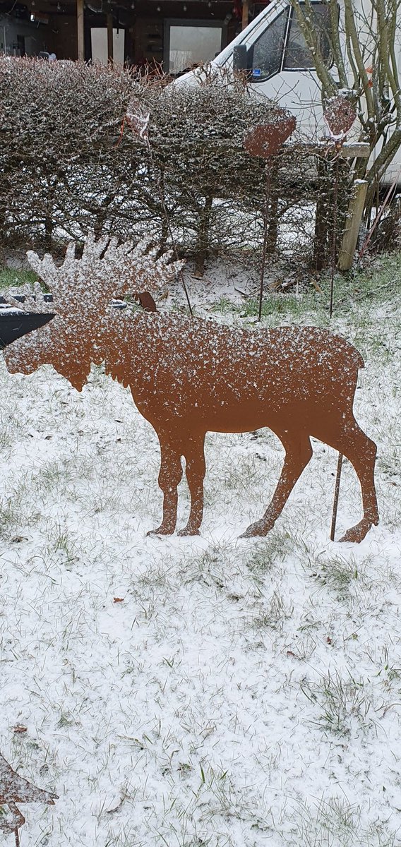 Wunderschöne Gartendeko auch im Winter❄️❄️❄️ Den #rostelch fertige ich in verschiedenen Größen,  bis zu 1,50 Meter Höhe
#garten #gartendeko  Kleine Kate Kunsthandwerk