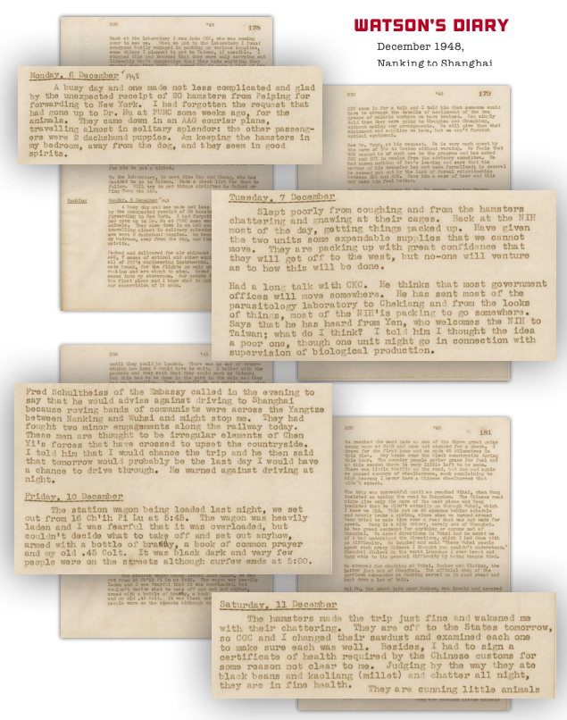 Niko McCarty. tweet media