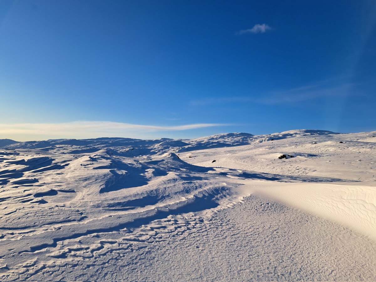 Heming H. Gujord tweet media