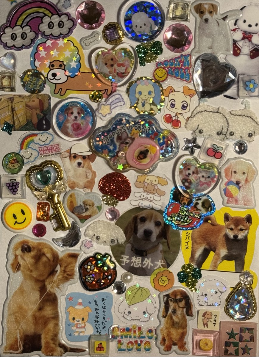 hamuchancity's tweet photo. ˚✧🦴🐶🐕🐩🐕‍🦺🦮🦴✧༚ https://t.co/OWfwSSZDt2