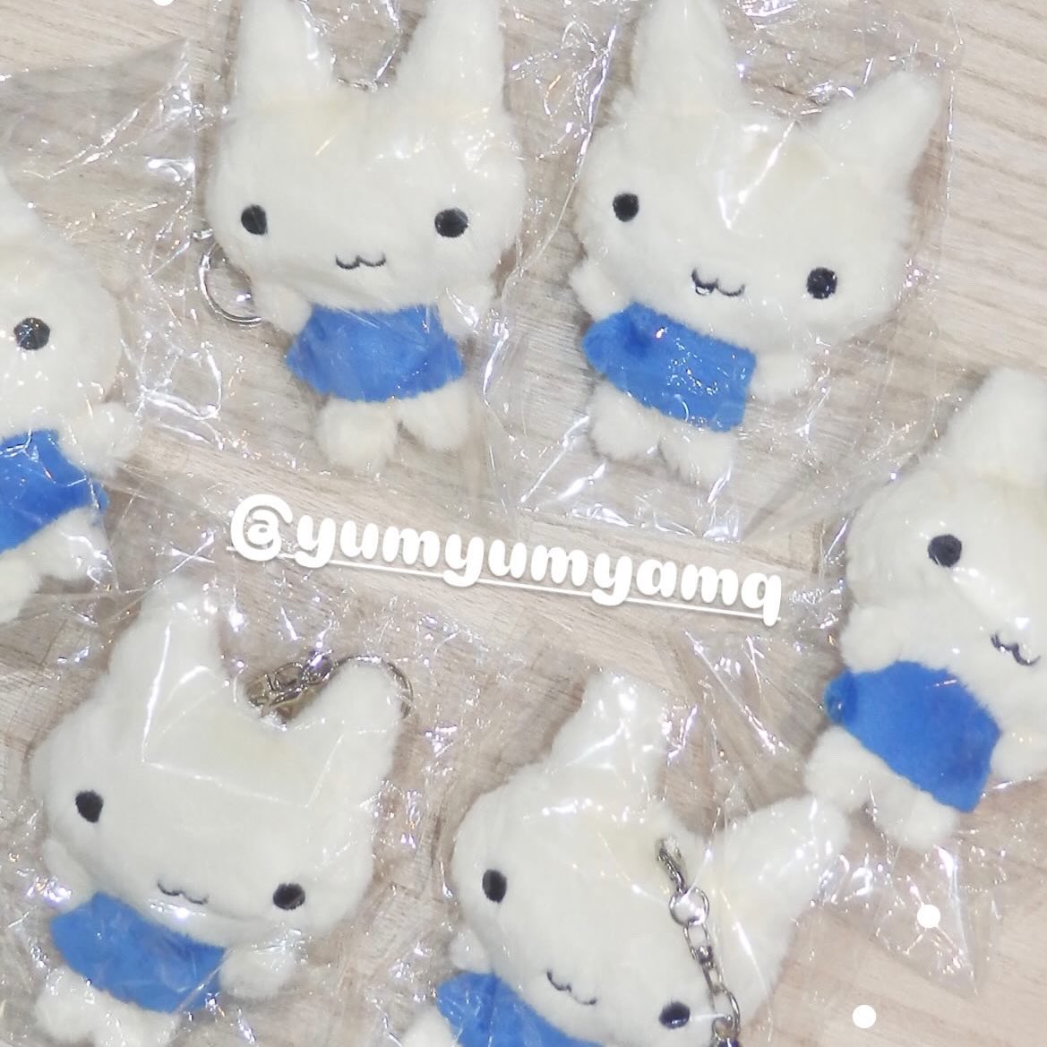 USED&SELECTほんわか (@honwaka61) / Posts and Replies / X