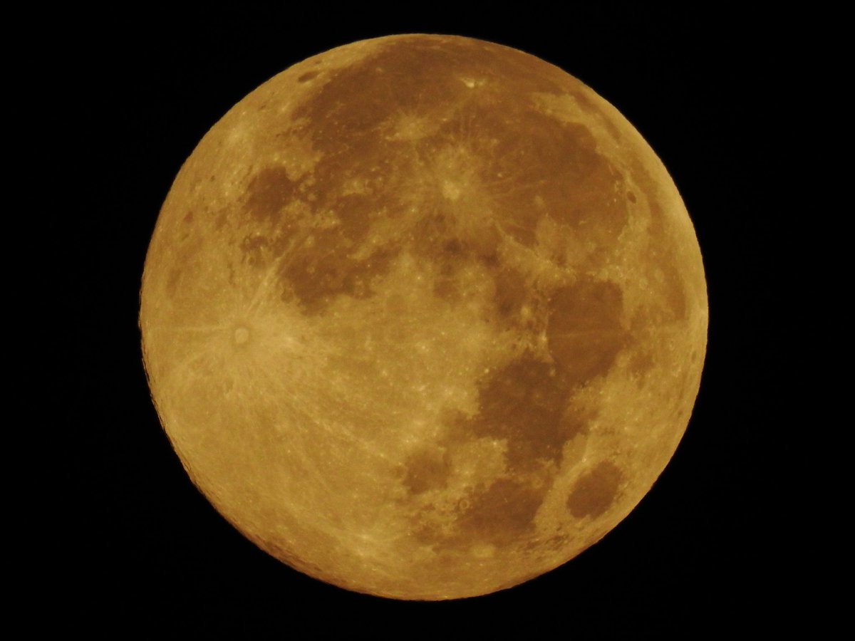 Noti_cielo tweet media