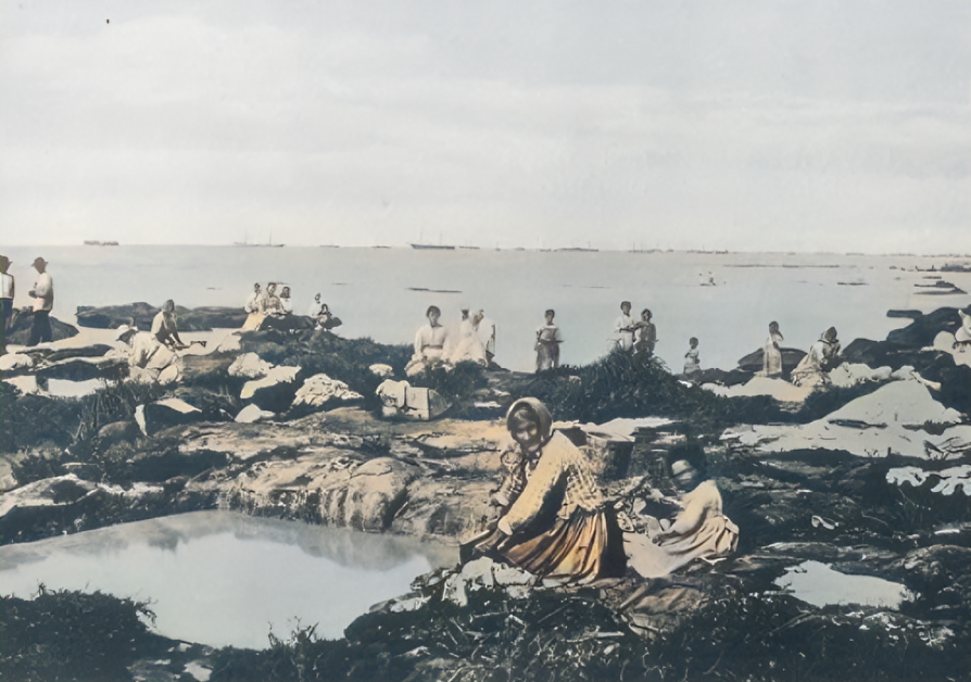 arroyoslibres's tweet photo. En lo que respecta al Río de la Plata, el método para el lavado de ropas se establecía mediante la excavación en la tosca de una especie de pileta, cuyo contenido líquido se encargaba de renovar el flujo y reflujo de las aguas.
#riodelaplata #lavandera #lavar #ropa https://t.co/nofppU7jpS