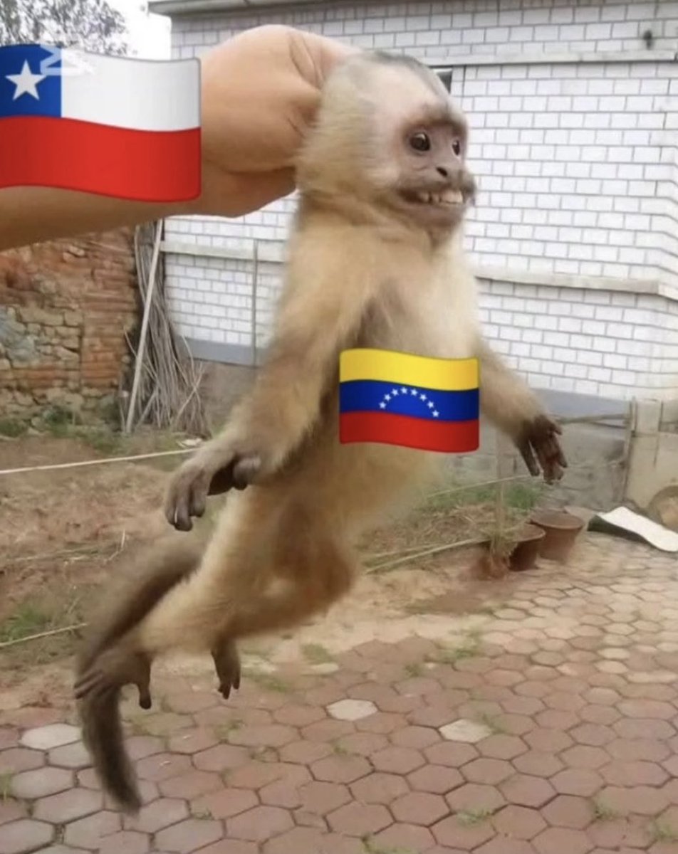 <a href="/ruddyvanessam/">antichavistas</a> <a href="/meganoticiascl/">Meganoticias</a> Váyanse a su país por favoooor!!!