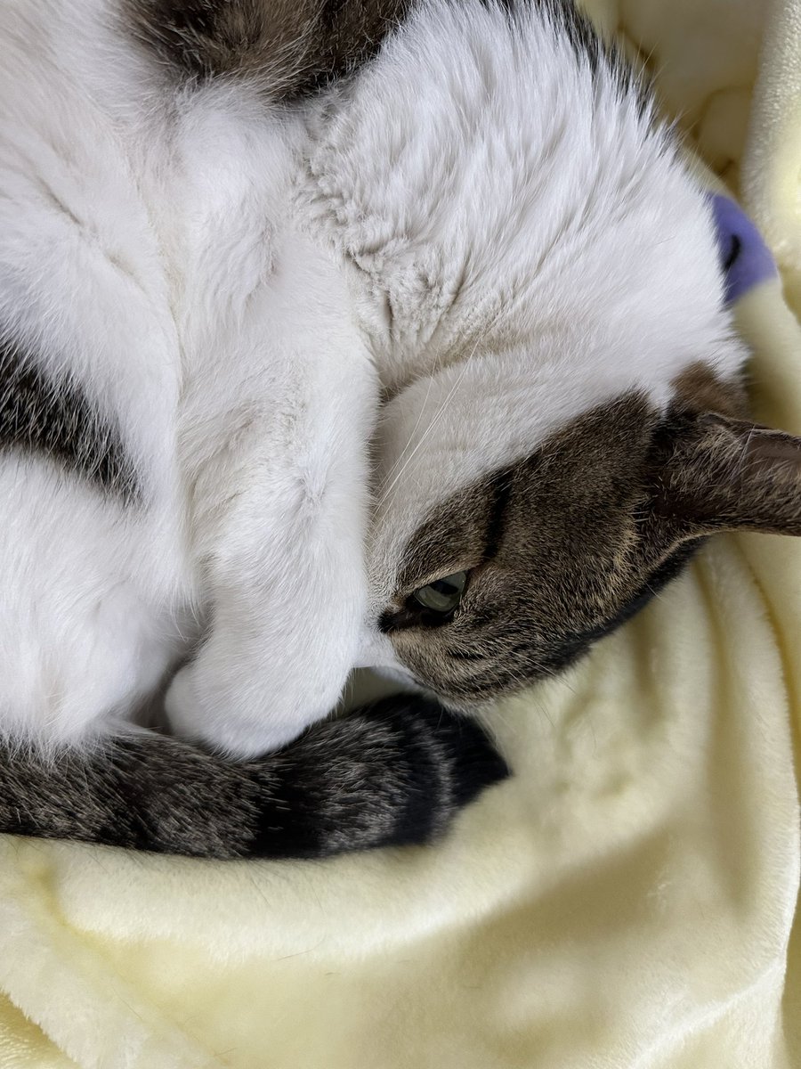 눈 떠서 나 보는 게 너무 웃김
동그래미야