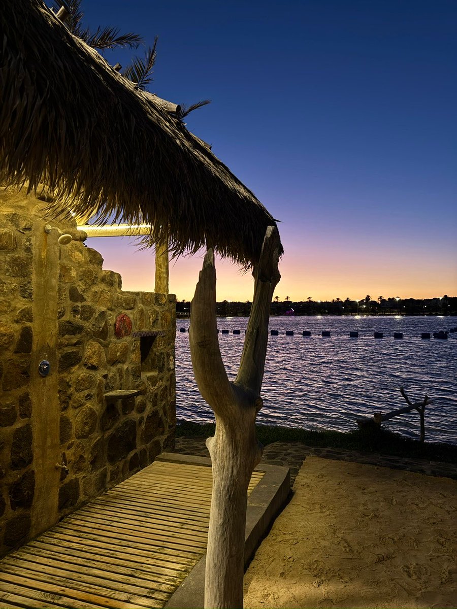 Alaa Hariri tweet media