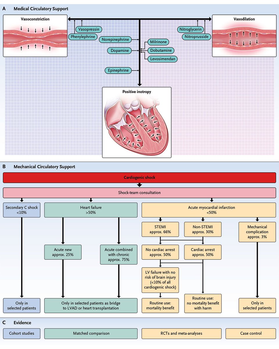 NEJM tweet media