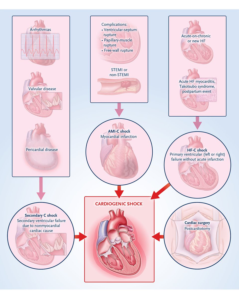 NEJM tweet media
