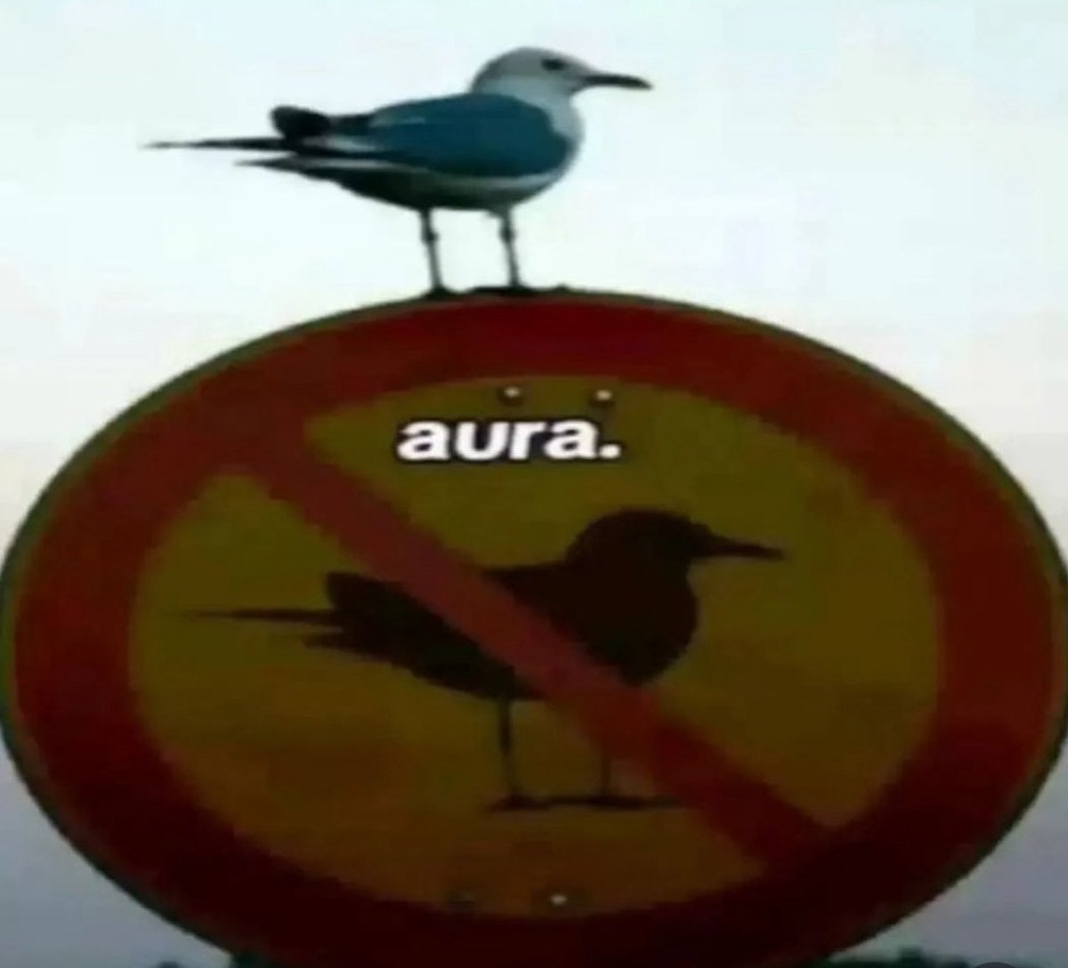 RetrAshado tweet media