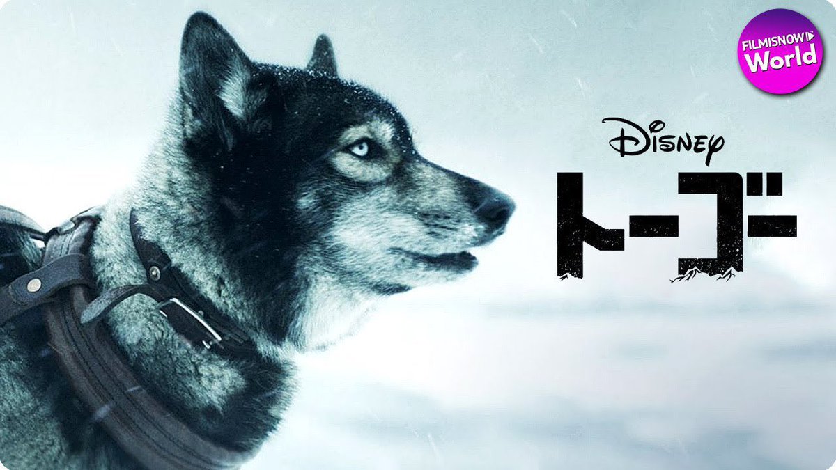HIDEO_KOJIMA_EN's tweet image. I was able to finally watch the movie “Togo” (2019), which I’d been wanting to see for a long time after finding it on a streaming service. In the freezing Alaskan town of Nome, a diphtheria outbreak breaks out. With a blizzard approaching, planes can’t be used to transport the…