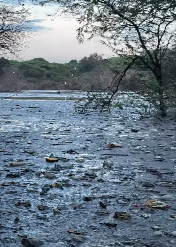 SaveAravali's tweet photo. A toxic chemical lake in Gurgaon’s Aravalis.

Authorities look away while lives are put at risk.

This is 1000× worse than Indore, yet no outrage.

Where are the ministers who preach “Aravali conservation”?

#Bandhwari https://t.co/fMhPdBouft