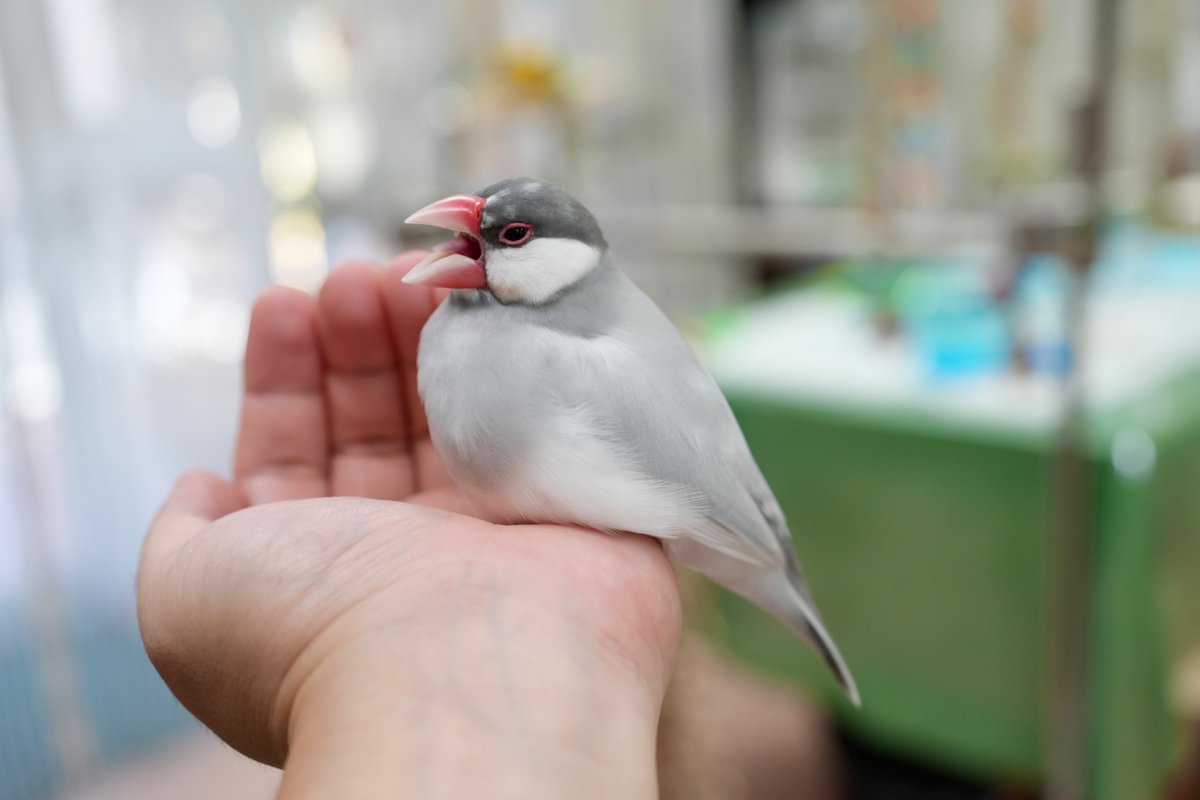 kida_handpan's tweet photo. ことしもよろしく https://t.co/yVWWpnKFdw