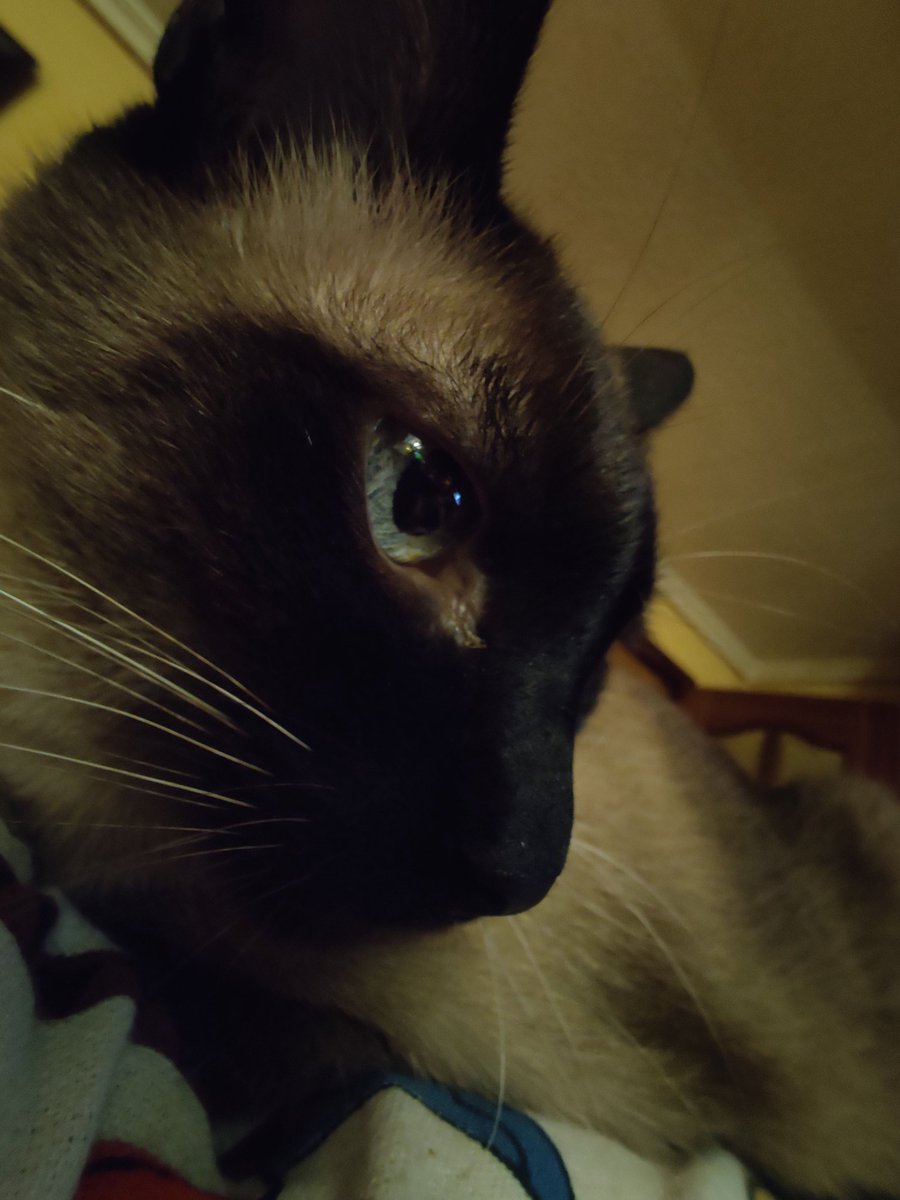 18 años son muchos, pero poquísimos para todo lo que has vivido con nosotros 🖤 Nos vemos en unos años chiquitillo! Gracias por tanto! ✨